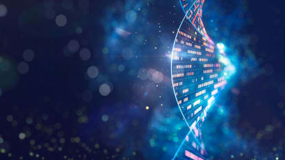 Gene Expression in Early Pregnancy Could Contribute to Sex-Based Health Differences