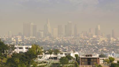 How Air Pollution Accelerates Alzheimer’s Disease