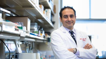 Javid Moslehi, MD, Named Chief of the New UCSF Cardio-Oncology & Immunology Program