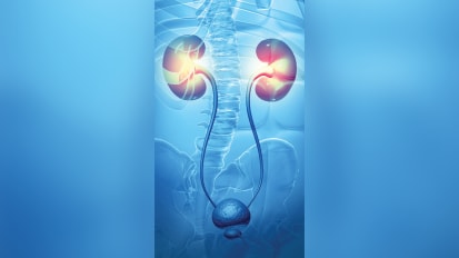 GENITOURINARY CANCER PROGRAM