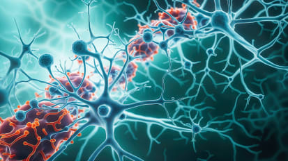 Study: Immune Cells Protect Brain Against Delirium