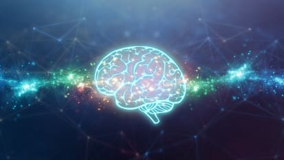 A New Brain ‘Traffic Map’