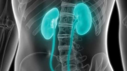 Kidney Cancer Study Shows Improved Outcomes for Patients with Advanced Disease when Treated with Belzutifan over Everolimus