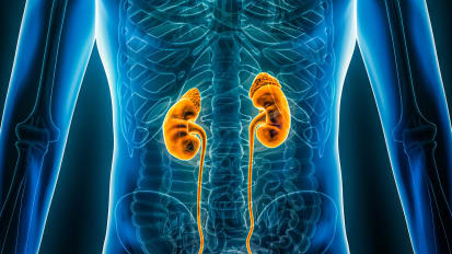 Acute Kidney Injury is not Associated with Worsening Kidney Function in Patients with Chronic Kidney Disease