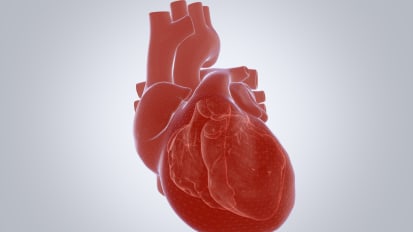 Management of Bicuspid Aortic Valve Disease - It’s a Root, Not a Valve Disease
