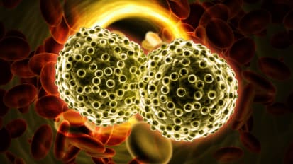 Steroids Found to Limit Effectiveness of Lung Cancer Immunotherapy Treatment