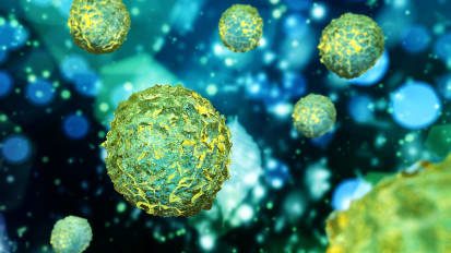 Discovery May Lead to Expanded Donor Pool for Stem Cell Transplants for Patients with Cancer