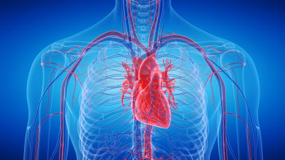 DOACs for LV Thrombus: The Experience from a Safety Net Hospital