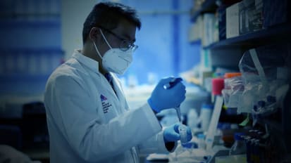 Beta Cell Proliferation Research to Investigate Harmine in Phase 1 Trial