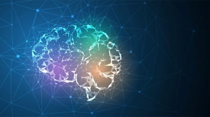 Miami Brain Symposium, Eighth Annual