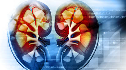 Big Data Helps Shape A New Model for Live Kidney Donation