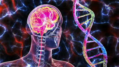 UT Southwestern receives grant worth up to $5 million aiding research for cerebellar disorders