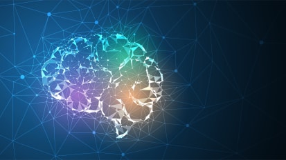Miami Brain Symposium, Seventh Annual