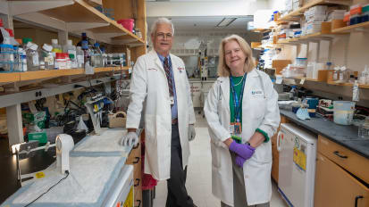 Seeking Signs of Synergy: The Origins of PARP and PI3K Inhibitors