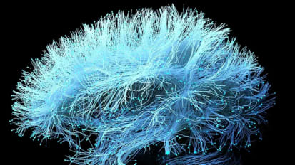 Interventional Psychiatry Division Chief has crossed globe to research treatments