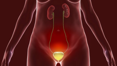 New Guidance for Reducing Medication-Related Dementia Risk in Patients With Overactive Bladder