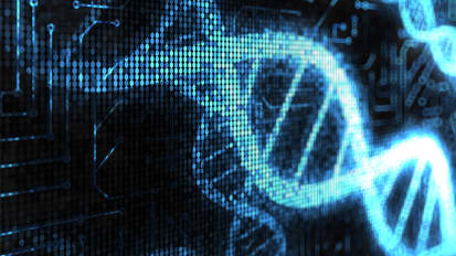 Widely Used Reference for the Human Genome is Missing 300 Million Bits of DNA