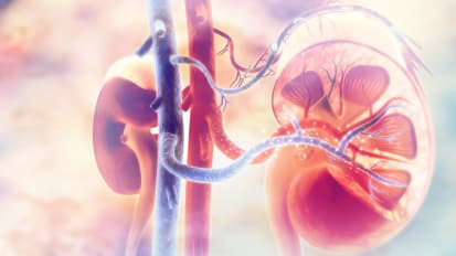 Advances to Reduce Kidney Transplant Wait Times