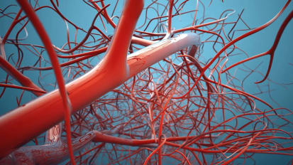 A New Era for NF1 – Advancing Care, Expanding Access