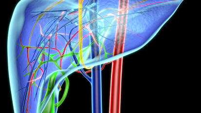 Liver Transplant for Hepatocellular Carcinoma: Collaborating for Improved Outcomes