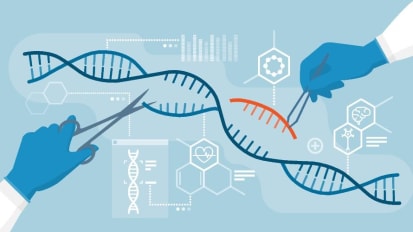 Double Negative in Cells Could Undermine PARP Inhibitors