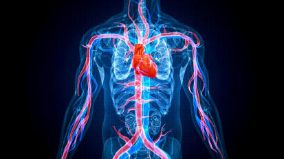 UT Southwestern’s Newly Created Division of Vascular Medicine Ensures a Comprehensive Approach to Cardiovascular Care