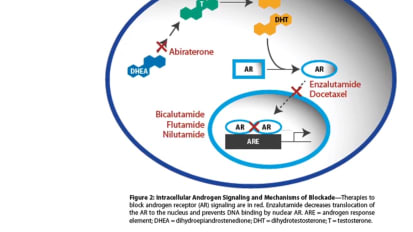 Molecularly Targeted Therapies for Salivary Gland Cancer