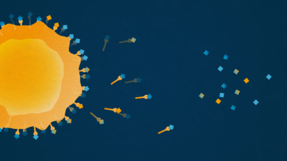 What is Immunopeptidomics? 