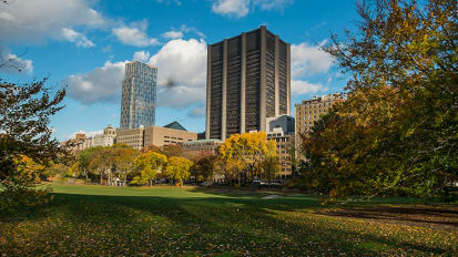 Mount Sinai Announces New Treatment Approach for Advanced Coronary Artery Disease Leads to Improved Outcomes