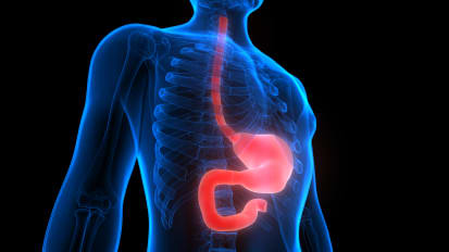 Fox Chase Researcher’s Presentation Highlights Unique Approach to Esophagectomy at American College of Surgeons Clinical Congress