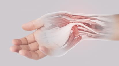 Hand, Wrist and Upper Extremity for Orthopedic Referrals