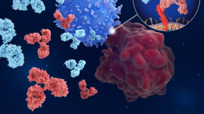 Call to Action: Improving Care for Cancer Patients on Immune Checkpoint Inhibitors