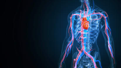 Miami Cardiac & Vascular Institute Physician Researchers to Present Latest Advances at International Symposium on Endovascular Therapy