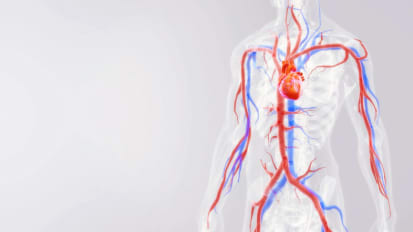 Upcoming webinar: Complex Aortic Surgery in 2026: Current Trends, Emerging Technology, and the Future 