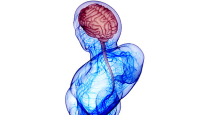 Better Brain & Spine Care Through Clinical and Medical Research