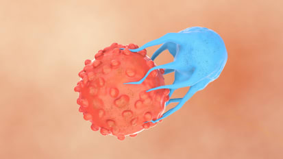 War on Blood Cancers Revolutionizes the Playing Field