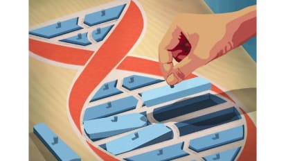 Tumor Mutations May Predict Response to Immunotherapy