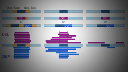 Growing Our Understanding of Genes Strongly Linked to Autism