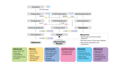 Mount Sinai Develops Protocols for Cushing Syndrome Due to Ectopic Production of ACTH