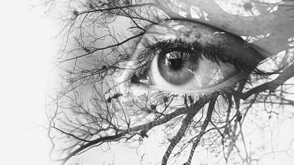 Ophthalmology 2024