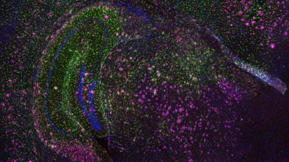 Frontiers in Discovery and Care: Genetics and Genomic Sciences 2025