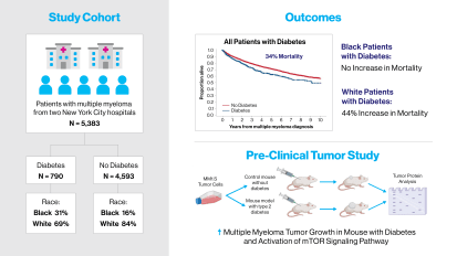 Diabetes May Accelerate Multiple Myeloma Growth, With Survival Outcomes Worse Among White Patients