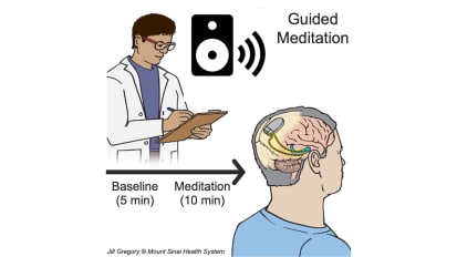New Research Reveals That Meditation Induces Changes in Deep Brain Areas Associated with Memory and Emotional Regulation
