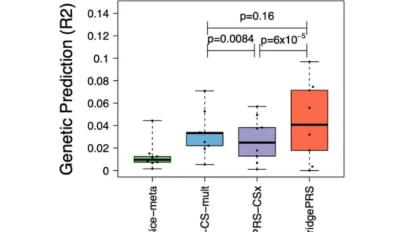 Mount Sinai researchers develop novel method to improve disease prediction across diverse ancestries