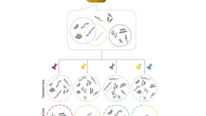 Genomic ‘tweezer’ ushers in a new era of precision in microbiome research