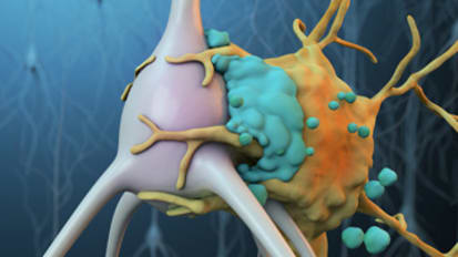 Safeguarding Neurons After Stroke