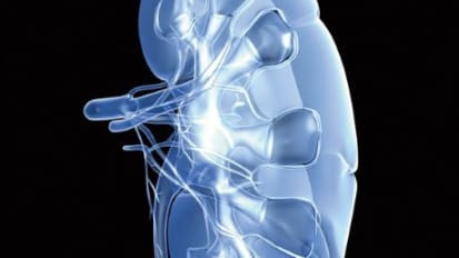 Immunotherapy – Targeted Drug Combination Improves Survival in Advanced Kidney Cancer