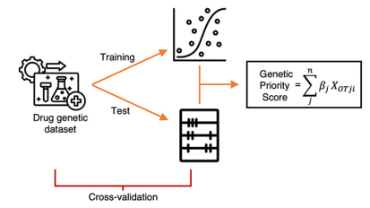 Novel Genetic Priority Score Unveiled to Enhance Target Prioritization in Drug Development