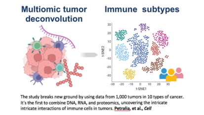 Researchers Characterize the Immune Landscape in Cancer