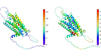 Unlocking the Human Genome: Innovative Machine Learning Tool Predicts Functional Consequences of Genetic Variants